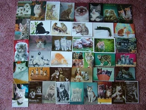 40 Used & Unused Postcards Featuring CATS. - Picture 1 of 1