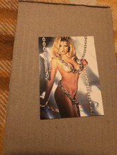 Heavenly Bodies Shayla 1993 Trading Cards Promo Card #2 Of 3 NM Condition