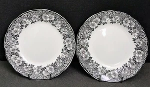 (2) Enoch Wedgwood MALVERNE Dinner Plates: Black Transferware, Ø9.8", DISCONTIN. - Picture 1 of 13