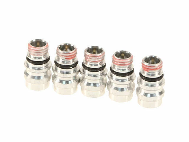 Santech/Omega Envir. Tecnología. Válvula de servicio de aire acondicionado para Dodge Caravan 2001 SE 61YBCB Foto 1 de 1