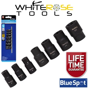 BlueSpot Impact Socket Set  E Torx 1/4"-3/8" Socket Rail - Picture 1 of 2