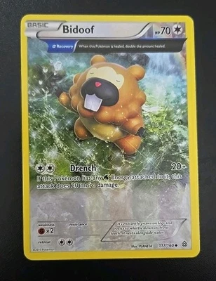 Bidoof (Alpha) 117/160 XY - Primal Clash Regular - Image 1 of 2