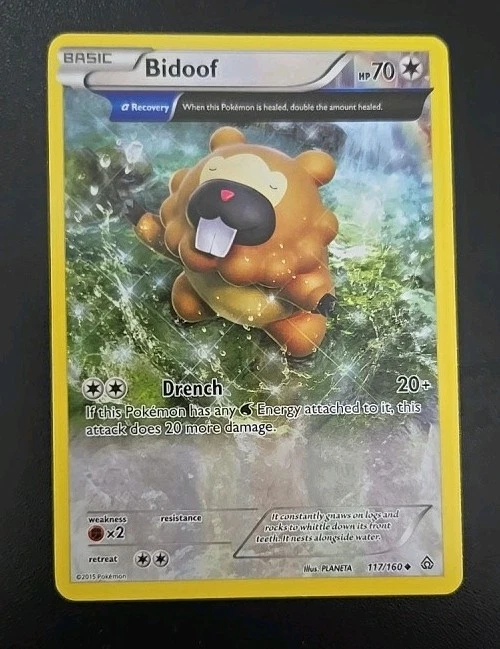 Bidoof (Alpha) 117/160 XY - Primal Clash Regular - Image 1 of 2