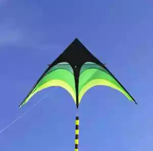 Cometas Delta grandes juguetes voladores para niños cometas línea de mango deportes cometas de viento - Imagen 1 de 19