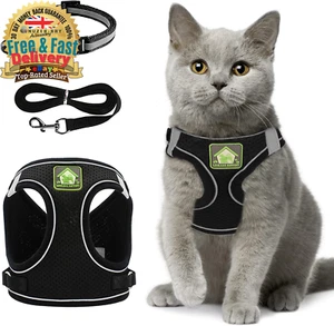 XS Cat Collars Harnesses and Lead Set Kitten Walking Escape Proof Adjustable .. - Picture 1 of 8