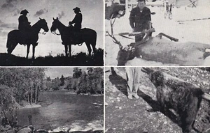 Pack Reisen im Big Sky Country, Bob Marshall Wilderness, Polson, Montana - Postkarte - Bild 1 von 2