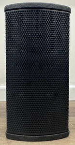 Bose Professional AMU105 ArenaMatch Utility Outdoor Speaker (Black) 811433-0110 - Picture 1 of 6