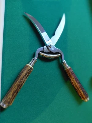 Geflügelschere mit Geweihgriff  50 Jahre alt  aus Solingen - Bild 1 von 4