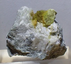 VESUVIANITE Crystal spray,  Fine Mineral Specimen Mont Saint Hilaire, CANADA  - Picture 1 of 12