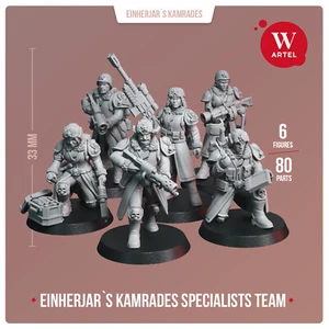 Artel W Miniatures - Einherjar's Kamrades - Specialist Team - Valhallan Guard - Picture 1 of 2