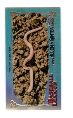 2022 Topps Allen and Ginter Chrome Mini Baseball Lexicon #BL3 Worm Burner - Image 1 of 2