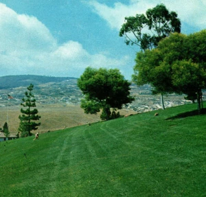 Green Hills Palos Verdes Peninsula Slope Landscape San Pedro CA Vintage Postcard - Picture 1 of 4