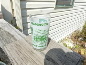 Vintage Souvenir Glass – Mammoth Cave National Park, Kentucky – Foster’s Shield  - Picture 1 of 10