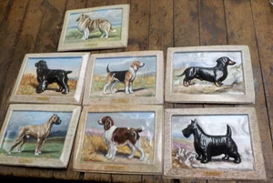 Targhe per cani vintage Edwin Megargee set di 7 razze Ken-L-Ration pubblicità anni 50 - Foto 1 di 18