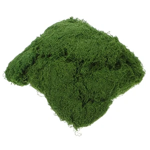 150g Künstliches Filament Moos für Topfpflanzen Glas Terrarien Aquarium Modelle - Bild 1 von 12