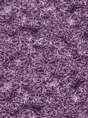 Leggings Lularoe TC - NUEVOS SIN ETIQUETAS - Estampado Floral Geométrico - Rosas - Púrpura, Crema, Violeta Foto 1 de 3