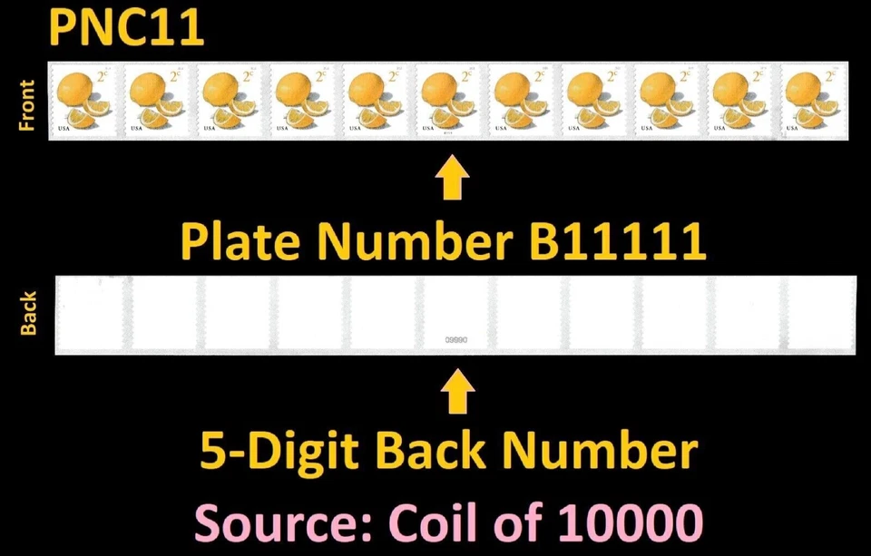 US #5256 MNH PNC11 2018 Meyer Lemon Fruits Definitive Coil [B1111][From 760415] - Image 1 of 1