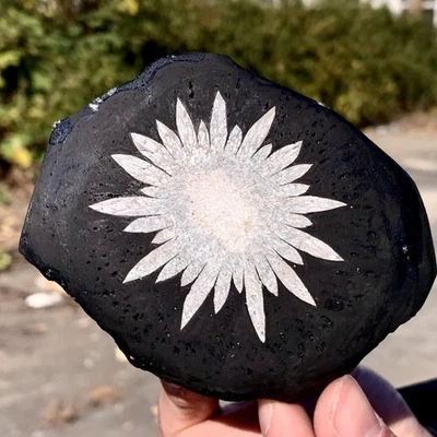 501G Natural chrysanthemum stone quartz carving aura healing gift - Image 1 of 4
