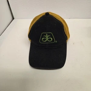 Dupont Pioneer Seed Iowa Hawkeye Collaboration Strapback Adjustable Hat - Picture 1 of 5