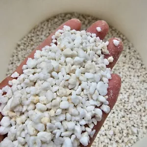 Natural Premium Perlite Hydroponics Growing Medium Grade | 3-6mm | 1L Pack - Picture 1 of 3