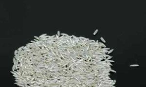 Silver Rice Silver Akshat, Silver Chawal For Worshipping Silver Article 10 Gram - Picture 1 of 2