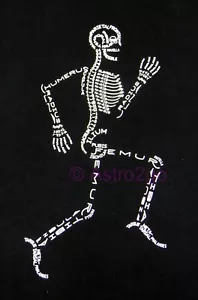 HUMAN BONES NAMES-Running Skeleton Anatomy Biology Medical Science T shirt S-3XL - Picture 1 of 4