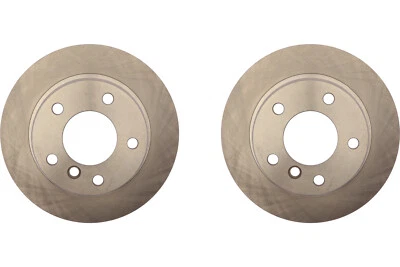 Rear PAIR Raybestos Disc Brake Rotor for 1992-1995 BMW 318i (59695) - Image 1 of 4