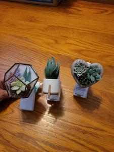 BBW Bath & Body Works Succulent Botanical Wallflower diffuser dispenser plug-ins - Picture 1 of 8