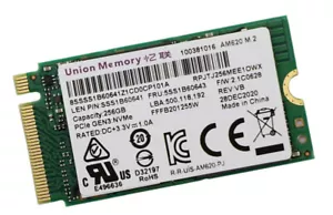 5SS1B60643 - 256GB Umis AM620 256G m.2 Pcie 2242 ssd - Picture 1 of 1