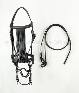 Bridle Vaquera Leather With Fringe - Picture 1 of 3