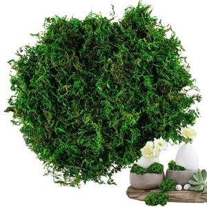Faux Moss for Potted Plants Artificial Moss for Crafts Green Forest Garden - Picture 1 of 6