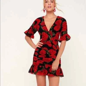 Keepsake Find You Black Red Rose Floral Dress Sz XS B-RR - Picture 1 of 6