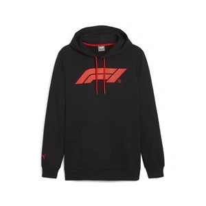 Formula 1 2024 Kids Logo Sweatshirt Black 128cm (Kids) - Picture 1 of 3
