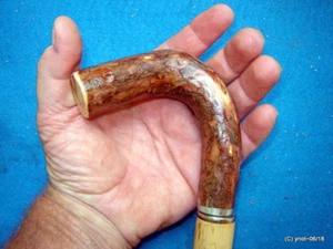 8 Jewel orig bark spiral DOGWOOD/Pine Branch Handle CANE/walking-stick - Picture 1 of 12