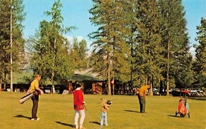 Whitefish Lake Golf Club Putting On The Greens Whitefish,MT Vtg Chrome Postcard - Picture 1 of 2