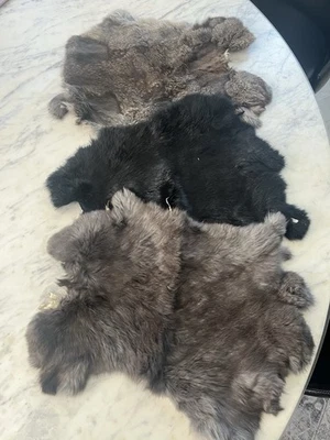 Lote de 3 pieles artesanales de cuero curtido piel de conejo natural genuina nuevas Foto 1 de 4