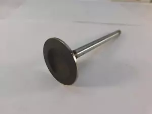 Exhaust Valve for DATSUN NISSAN Z20 Z22 Z24 200SX 510 720 ITM RX9200 each - Picture 1 of 4