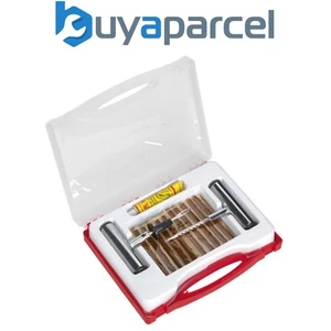 Sealey TST10 Temporary Puncture Repair Kit - Picture 1 of 3