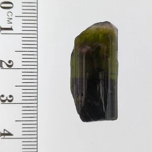 Turmalina Elbaita Cristal Verde Tapa Bicolor Mineral Espécimen StakNala 33.7ct - Imagen 1 de 7