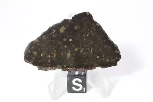 nwa 16976 CK 6 meteorite slice! Weight 6.38 grams 1.75 inch - Picture 1 of 3