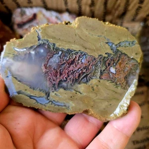 Endcut and Cut Proven Mixed Rough Box - Moss Bed, Jasper, Agate, Petrified Wood - Picture 1 of 16