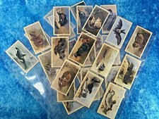 John Player & Sons Complete Series of 30 Cards - Doncella British Mammals 1983