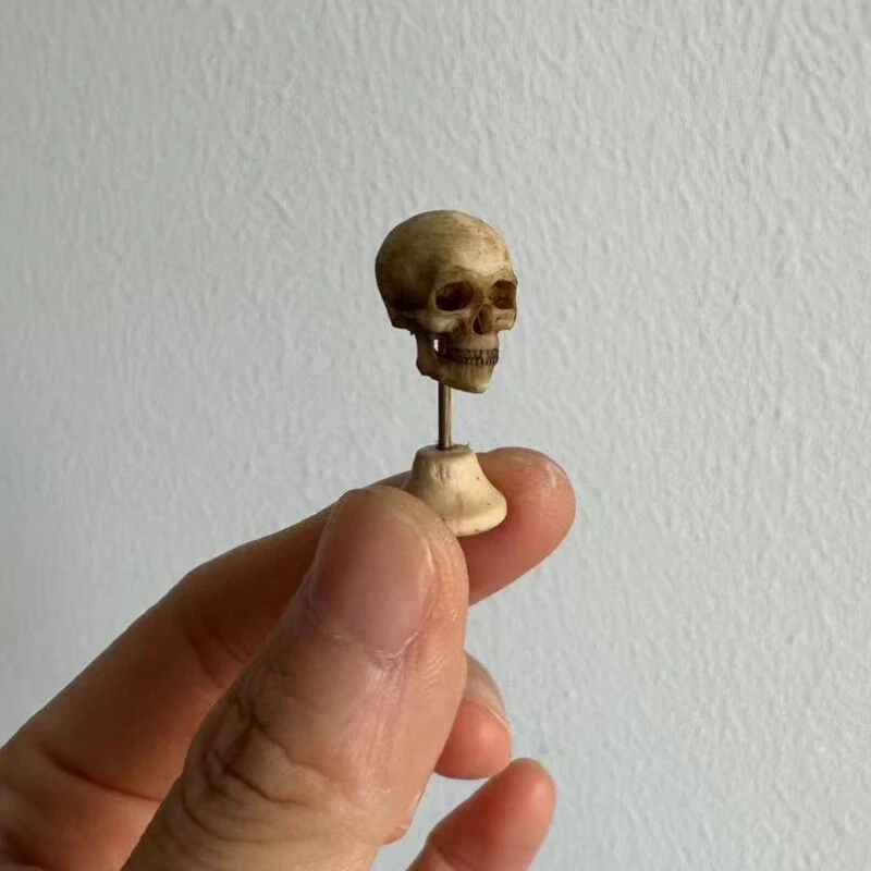 1/12 Scale Dollhouse Miniature Accessorie Skull Skeleton Halloween Laboratory