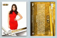 Cathy Kelly #66 WWE 2017 Topps Trading Card