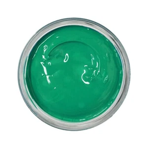 FAMACO RESTORES COLOUR REPAIR SMOOTH LEATHER SHOE BOOT BAG POLISH GREEN GAZON - Picture 1 of 1