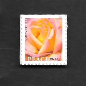 PEACE ROSE #5280 SEND PEACE SAY LOVE WITH ROSES MXF SINGLE S/A (1) FOREVER STAMP - Picture 1 of 8