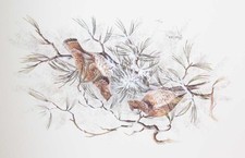 Harry Moeller Ruffed Grouse