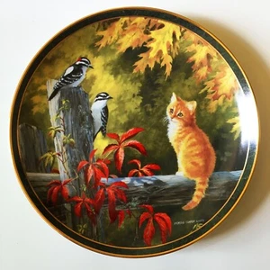 NOSY NEIGHBORS Cats Kittens Plate OBSERVATION DECK by Persis Weirs - Picture 1 of 4
