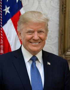 President Donald Trump Official White House Portrait American Flag Photo Print - Picture 1 of 3