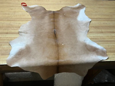 Cabello en piel de pantorrilla - Precioso bronceado suave leve daño # 0016504 Foto 1 de 4